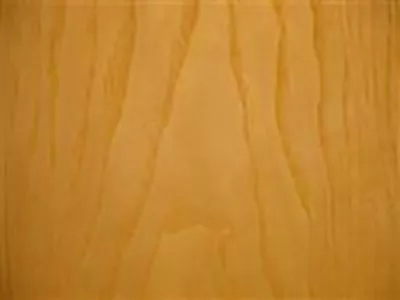 Esche Esche
