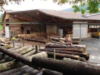 Unser Rundholz wird beregnet Unser Rundholz wird beregnet