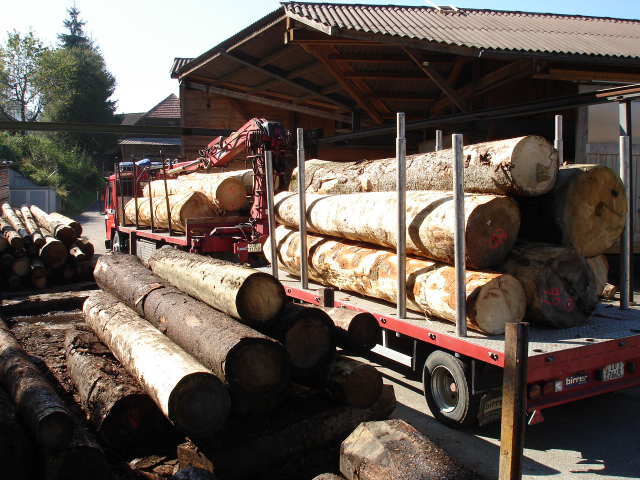Holz aus der Region